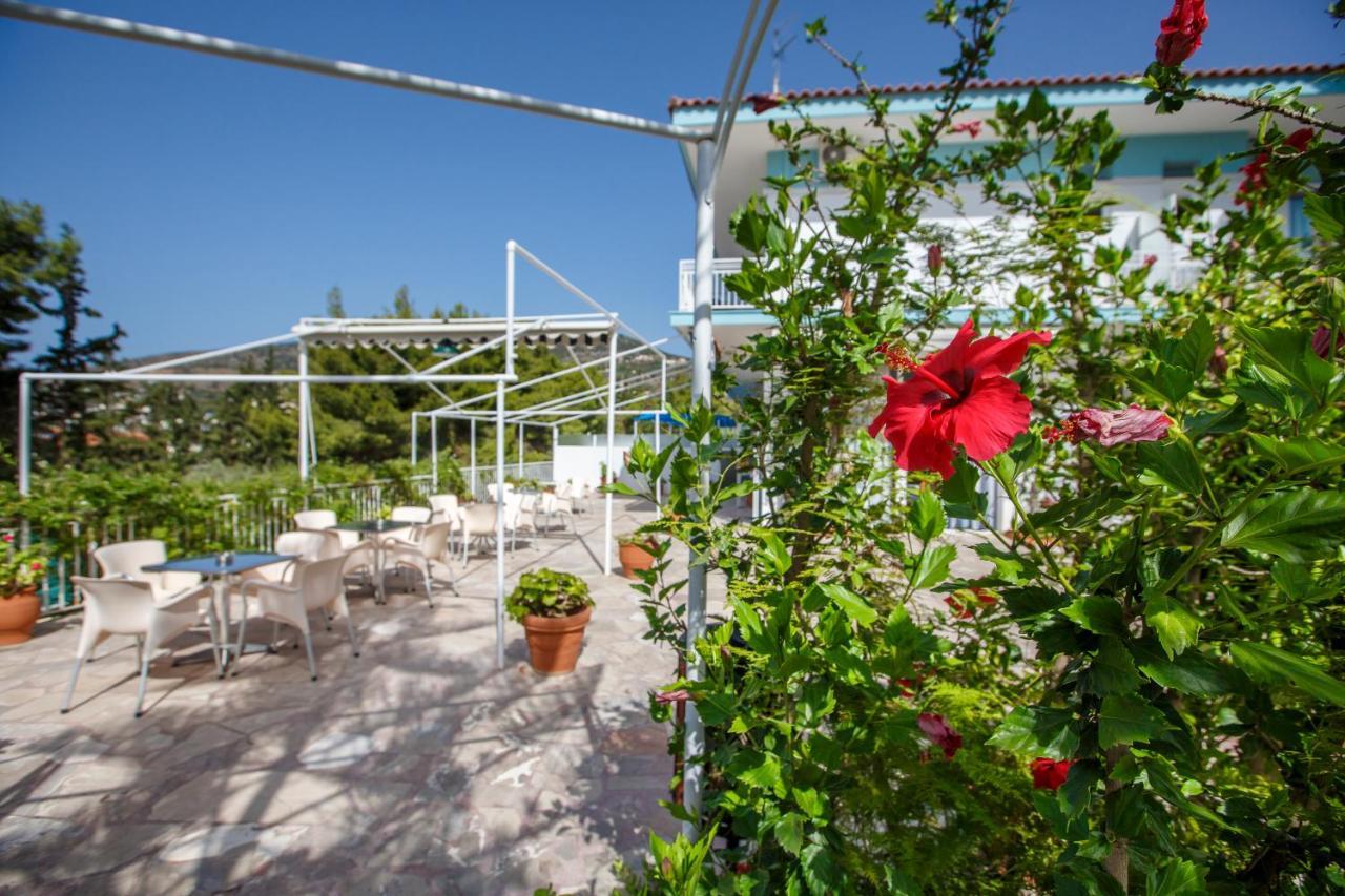 Tolon Beach Hotel Dış mekan fotoğraf